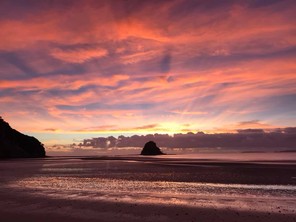 55853474_2482385781774254_3349444097055129600_n